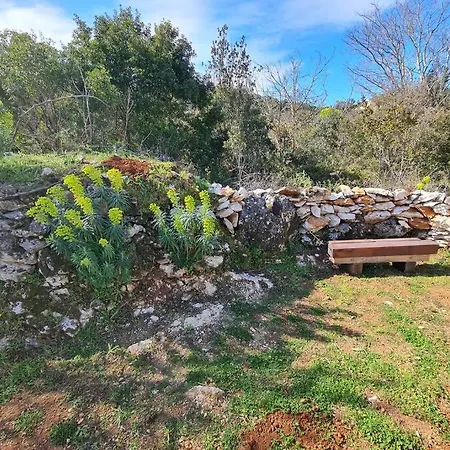 House Relic